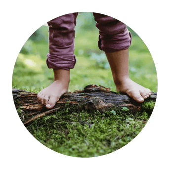 balancing-on-log