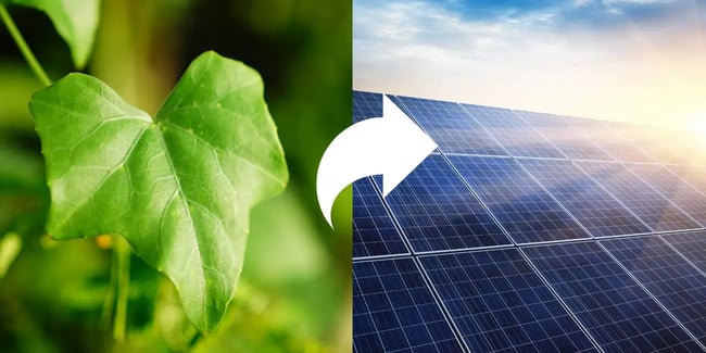 image of a lead and solar panels