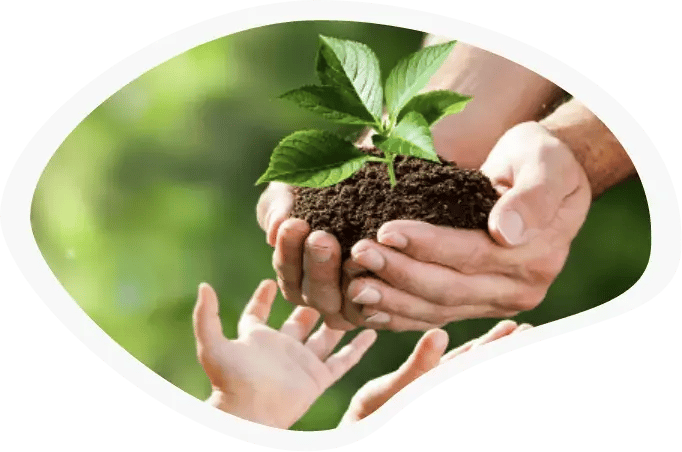 plant-in-someones-hand