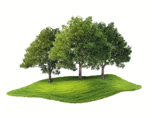 three-trees