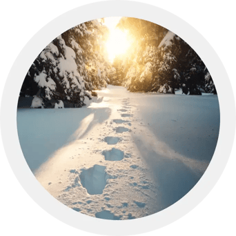 tracks-in-the-snow