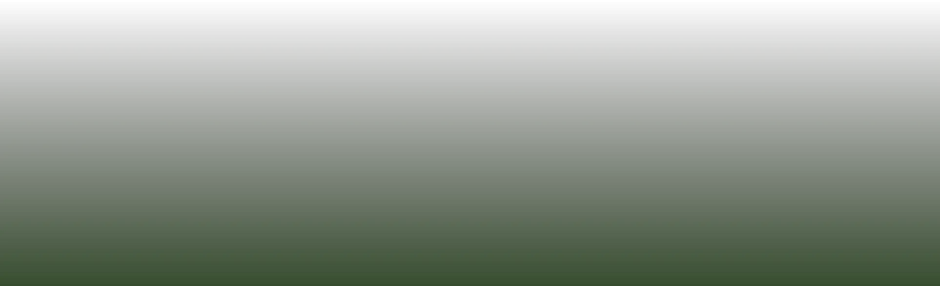 Bottom Overlay